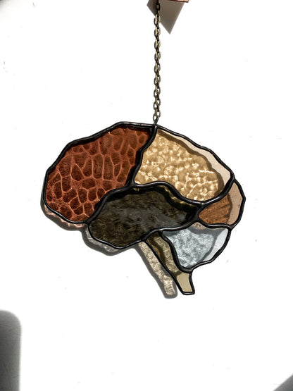 Human Brain (better than AI) •••