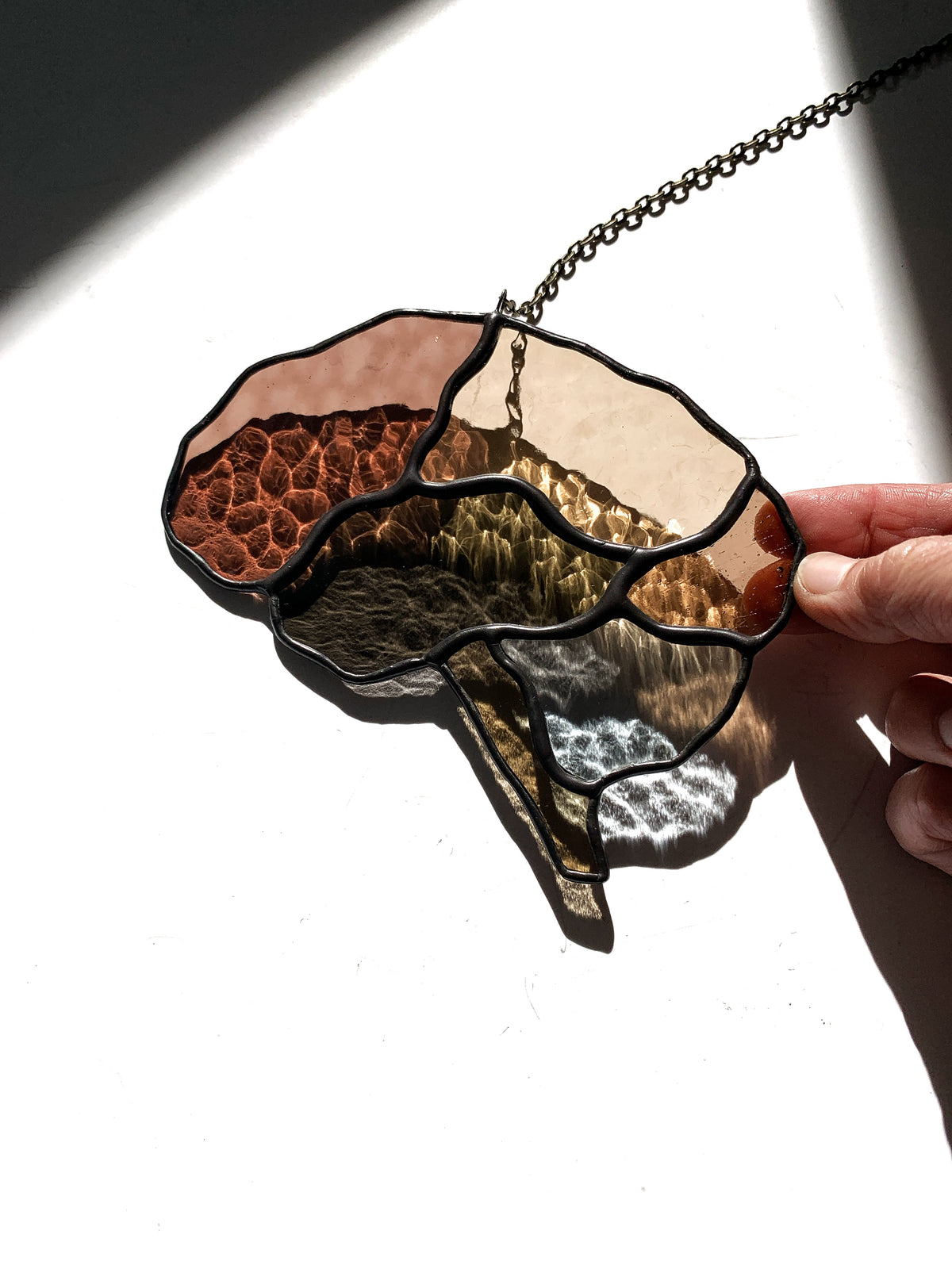 Human Brain (better than AI) •••