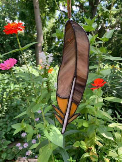 Classic Feather • Feathery Brown