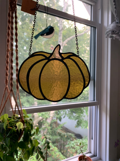 Pumpkin • Camel