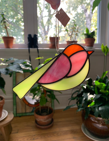 Colorful Bird Friend • Lime, Pink, Orange