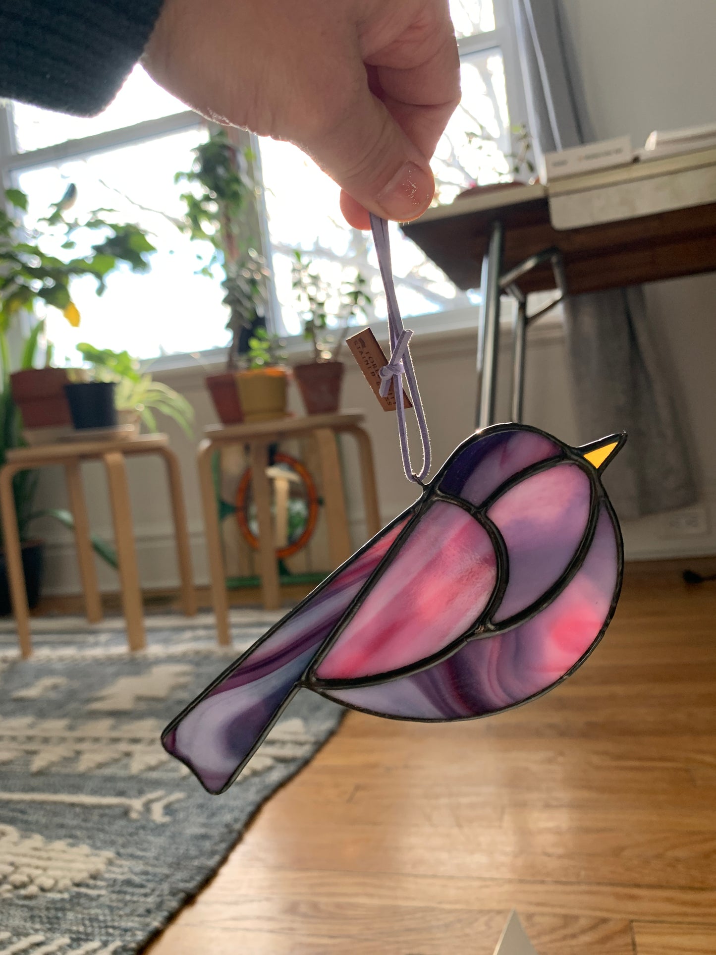 Colorful Bird Friend • Purples and Pinks