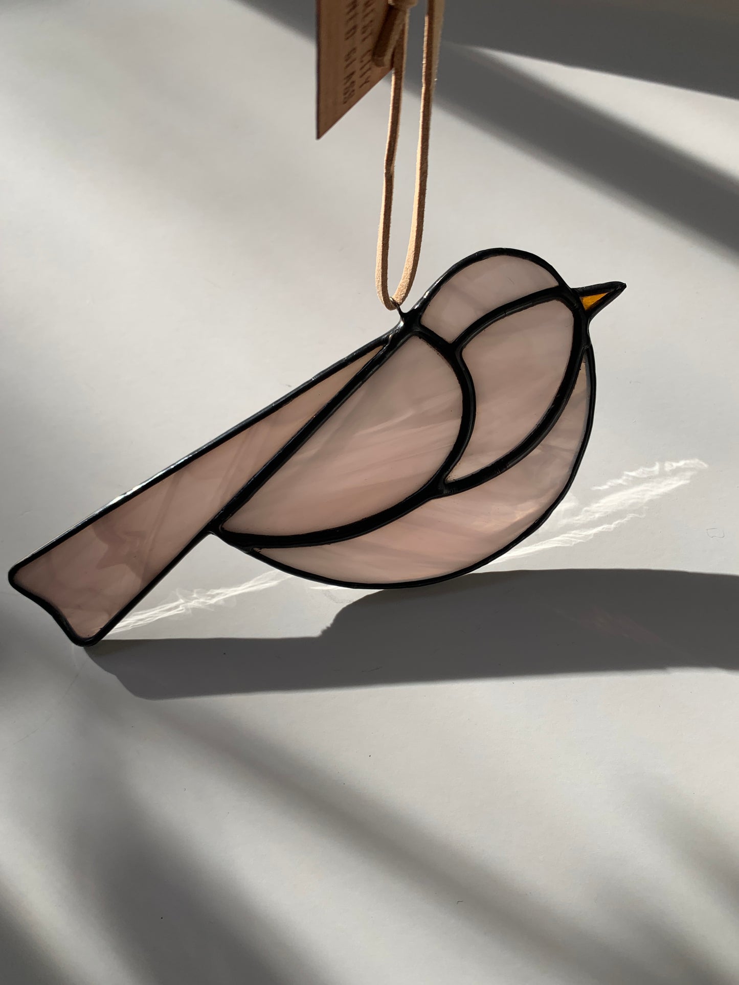 Colorful Bird Friend • Wispy Soft Pink