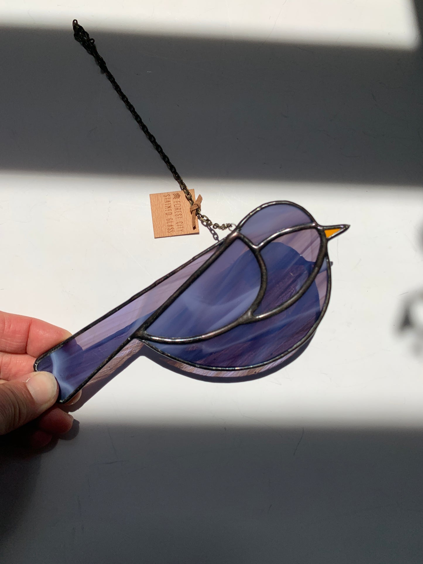 Colorful Bird Friend • Wispy Lavender