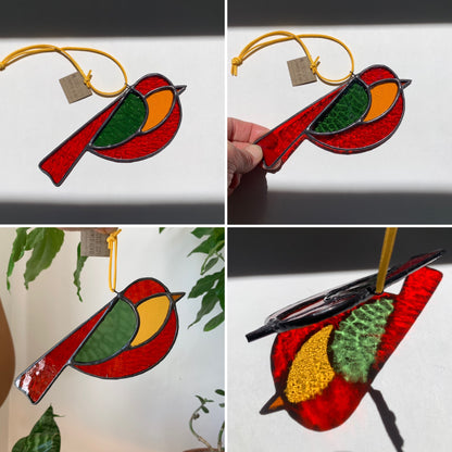 Colorful Bird Friend XII