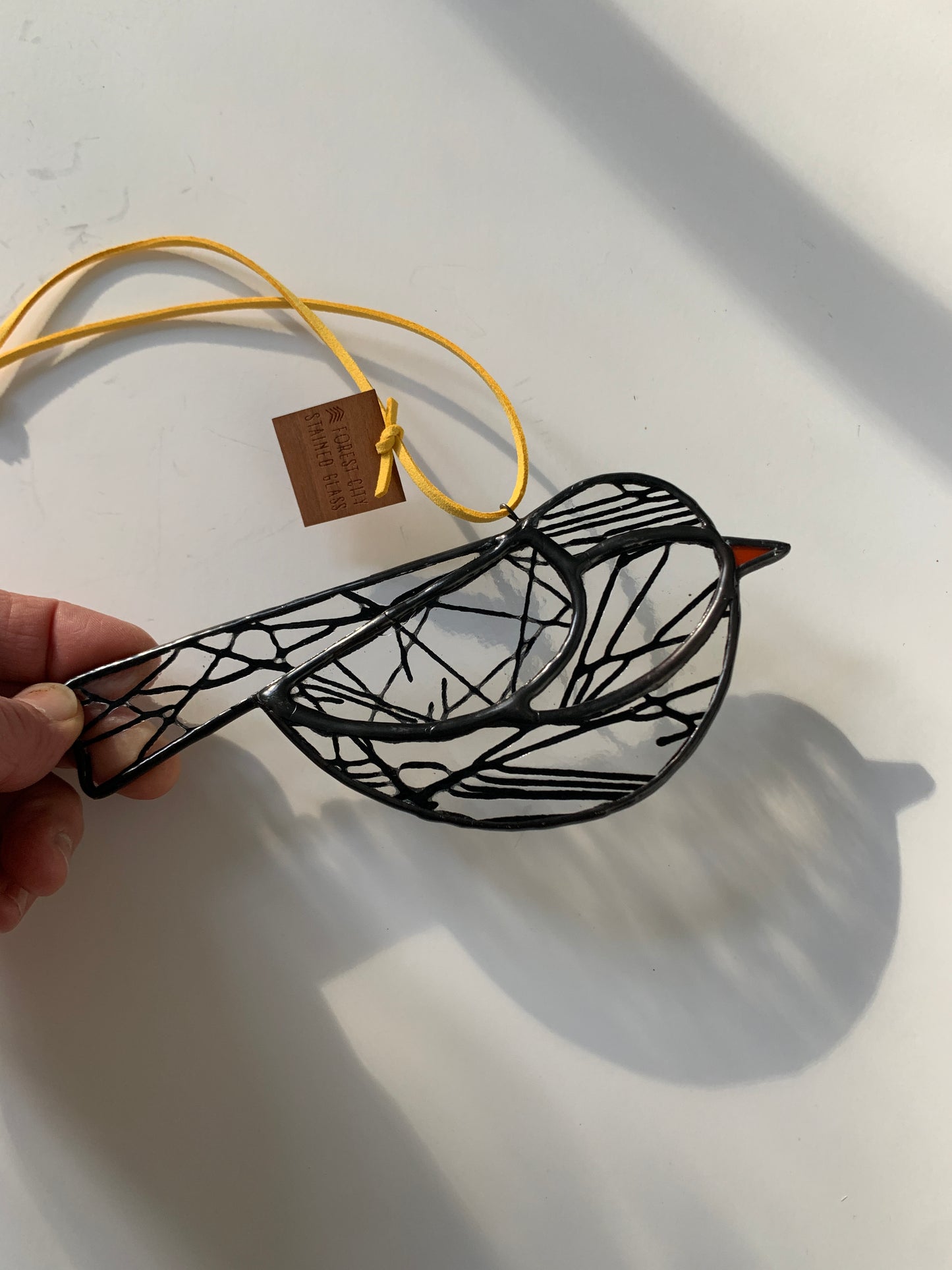 Colorful Bird Friend • Lines