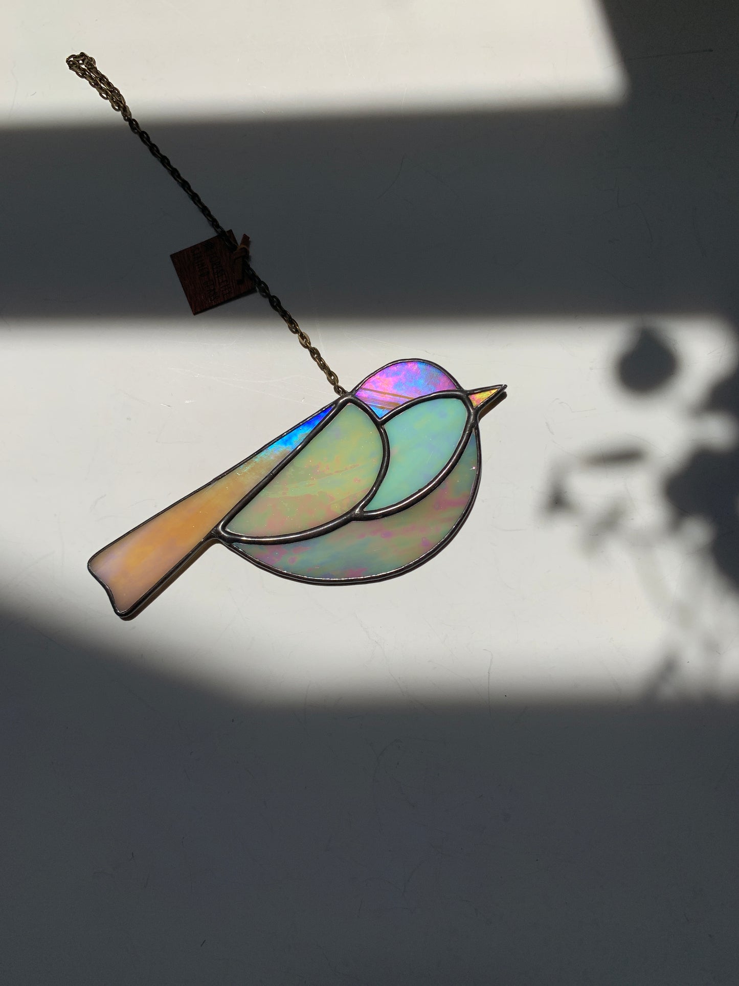 Colorful Bird Friend • Iridescent Neutrals VII