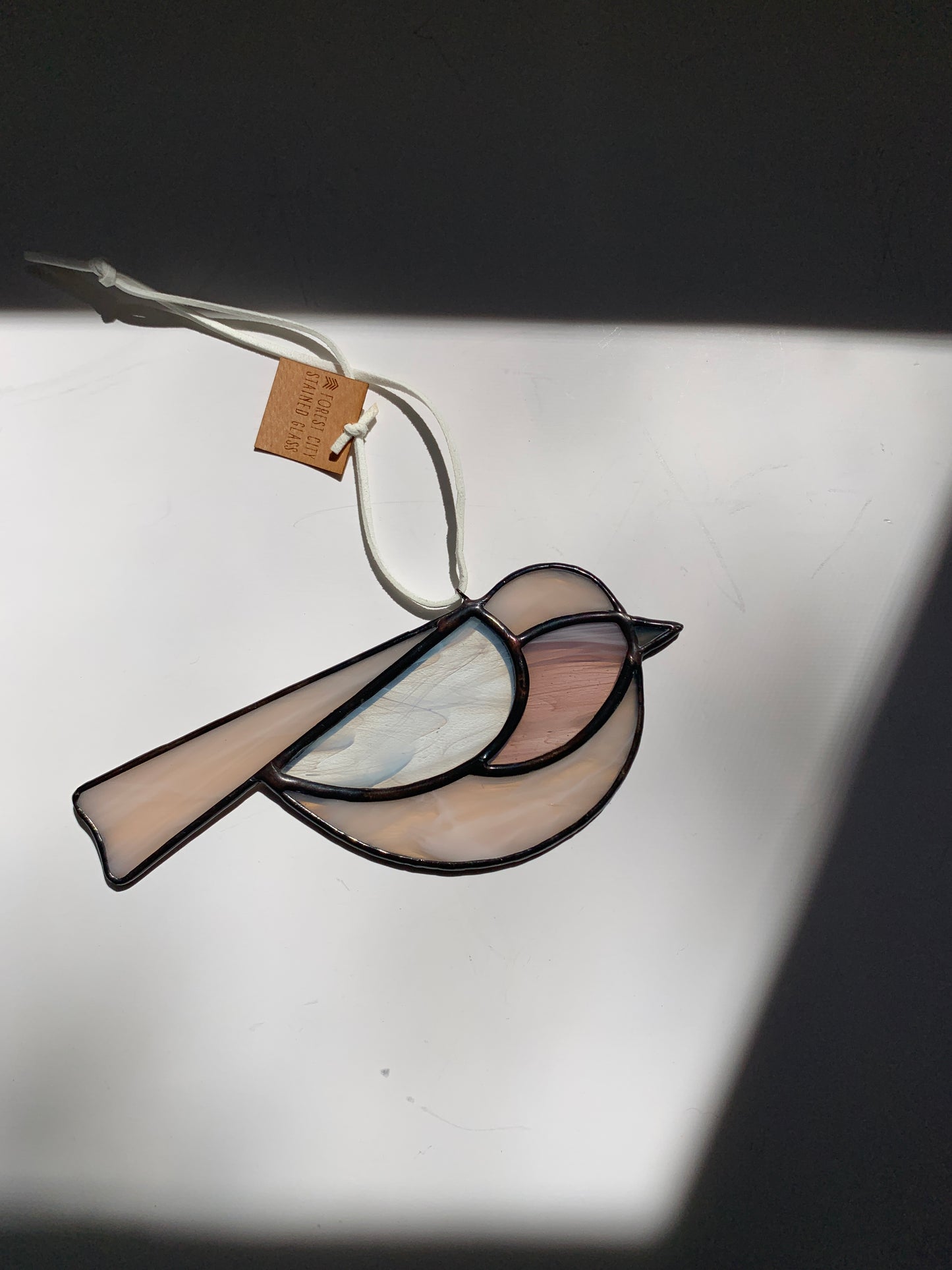 Colorful Bird Friend • Wispy Soft Pink