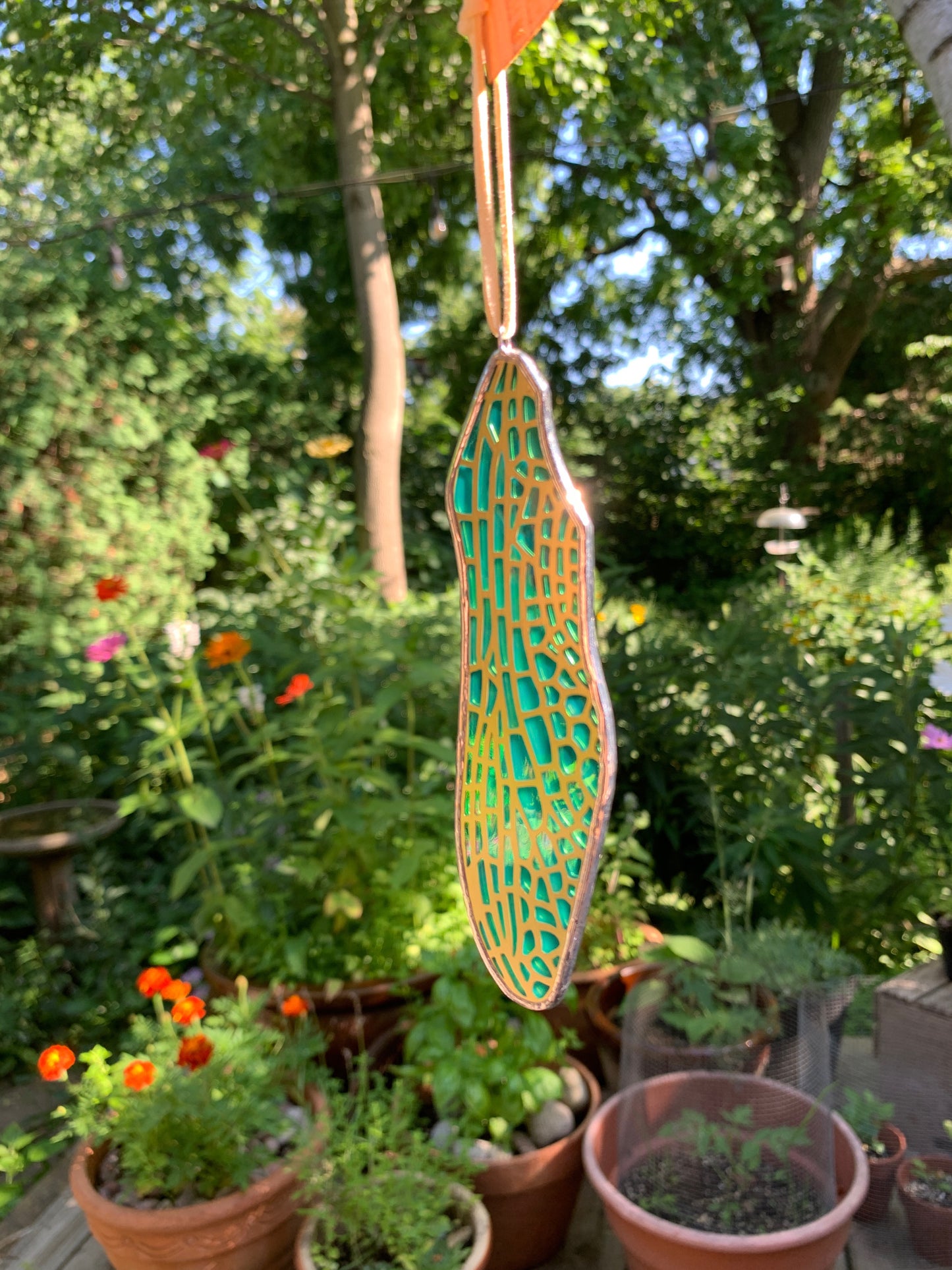 Dragonfly Forewing • Iridescent Wispy Teal
