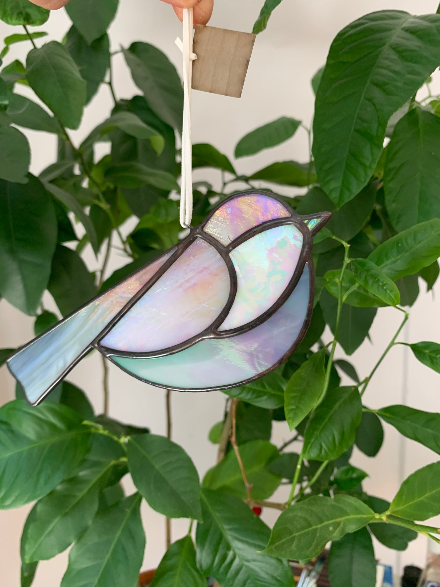 Colorful Bird Friend • Iridescent Grey, Pink, Pearl