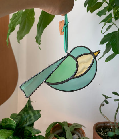 Colorful Bird Friend VI