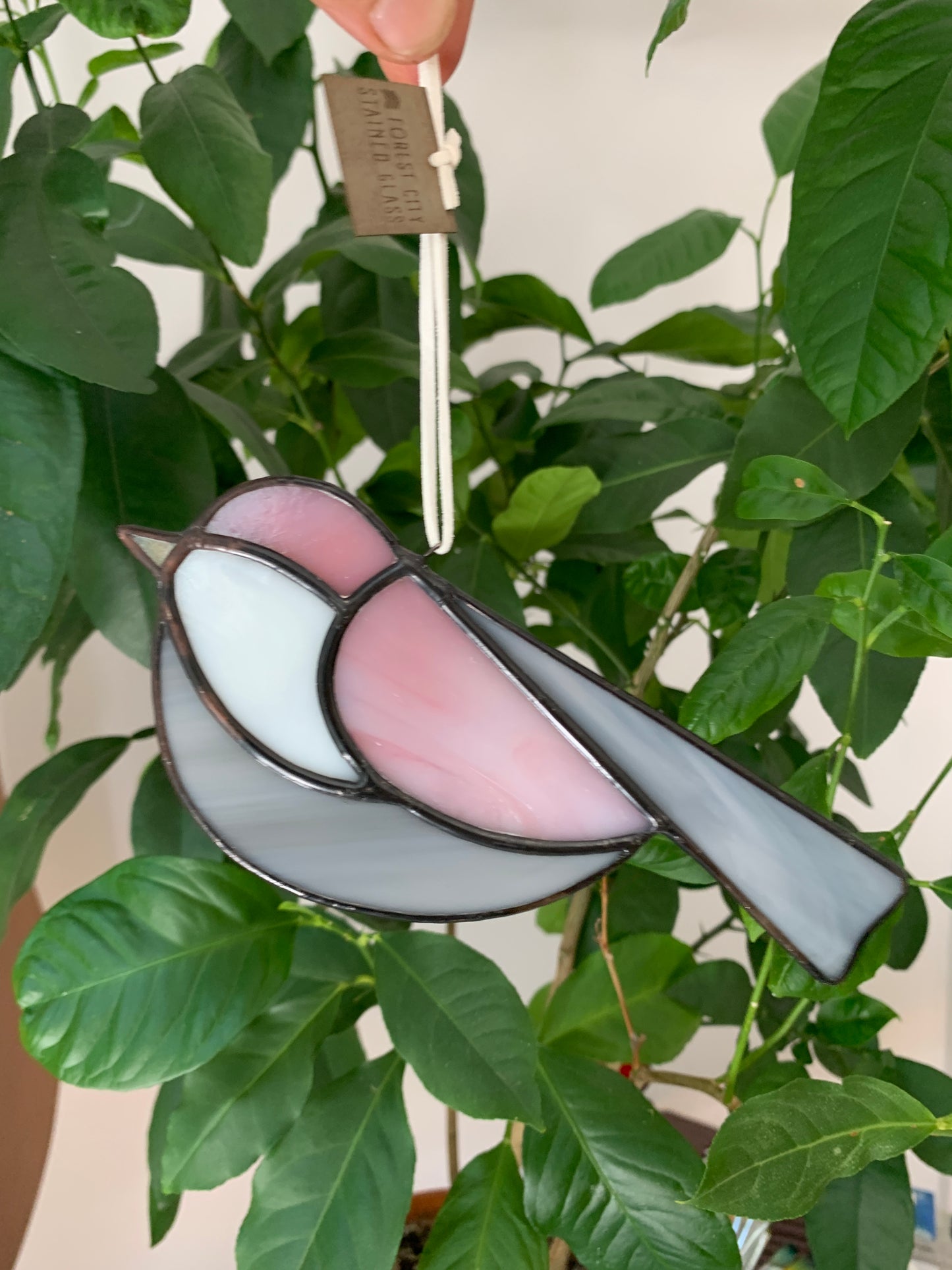Colorful Bird Friend • Iridescent Grey, Pink, Pearl