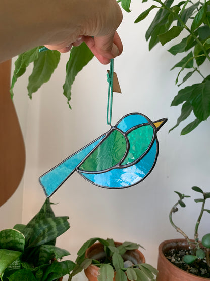Colorful Bird Friend V