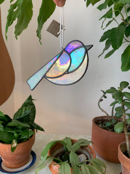 Colorful Bird Friend XXI • Iridescent