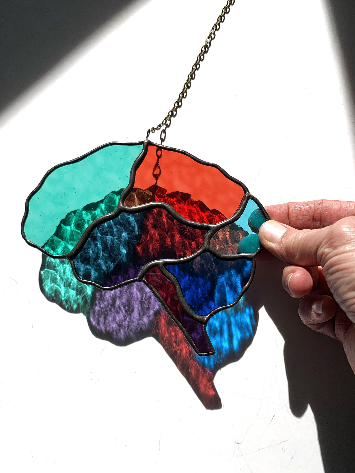 Human Brain (better than AI) ••