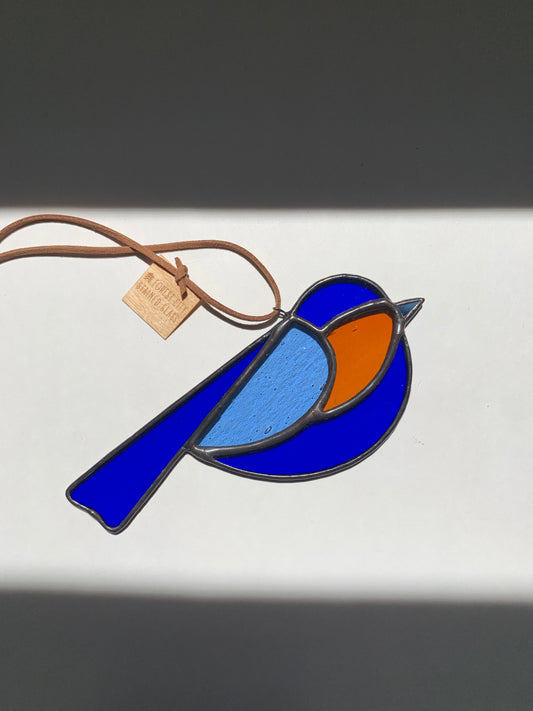 Colorful Bird Friend IX