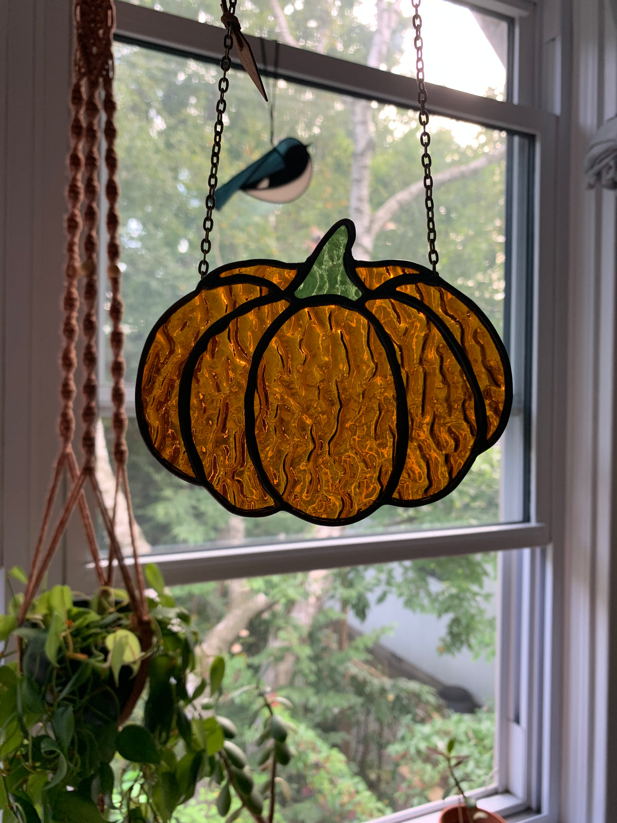 Pumpkin • Textured Amber Orange
