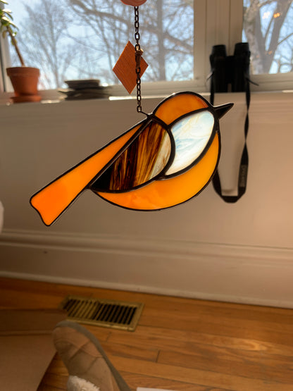 Colorful Bird Friend • Browns