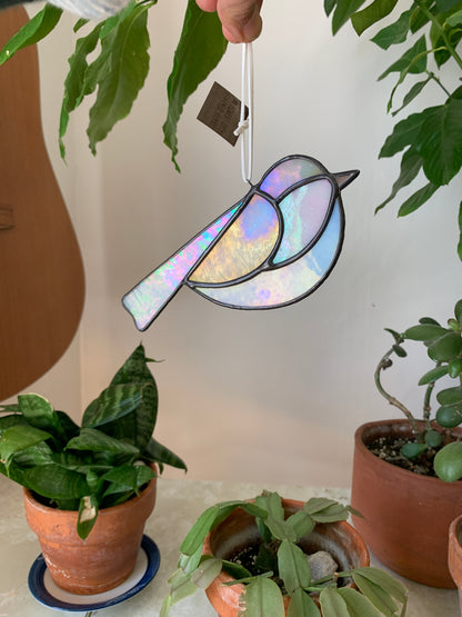 Colorful Bird Friend XXI • Iridescent