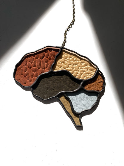 Human Brain (better than AI) •••