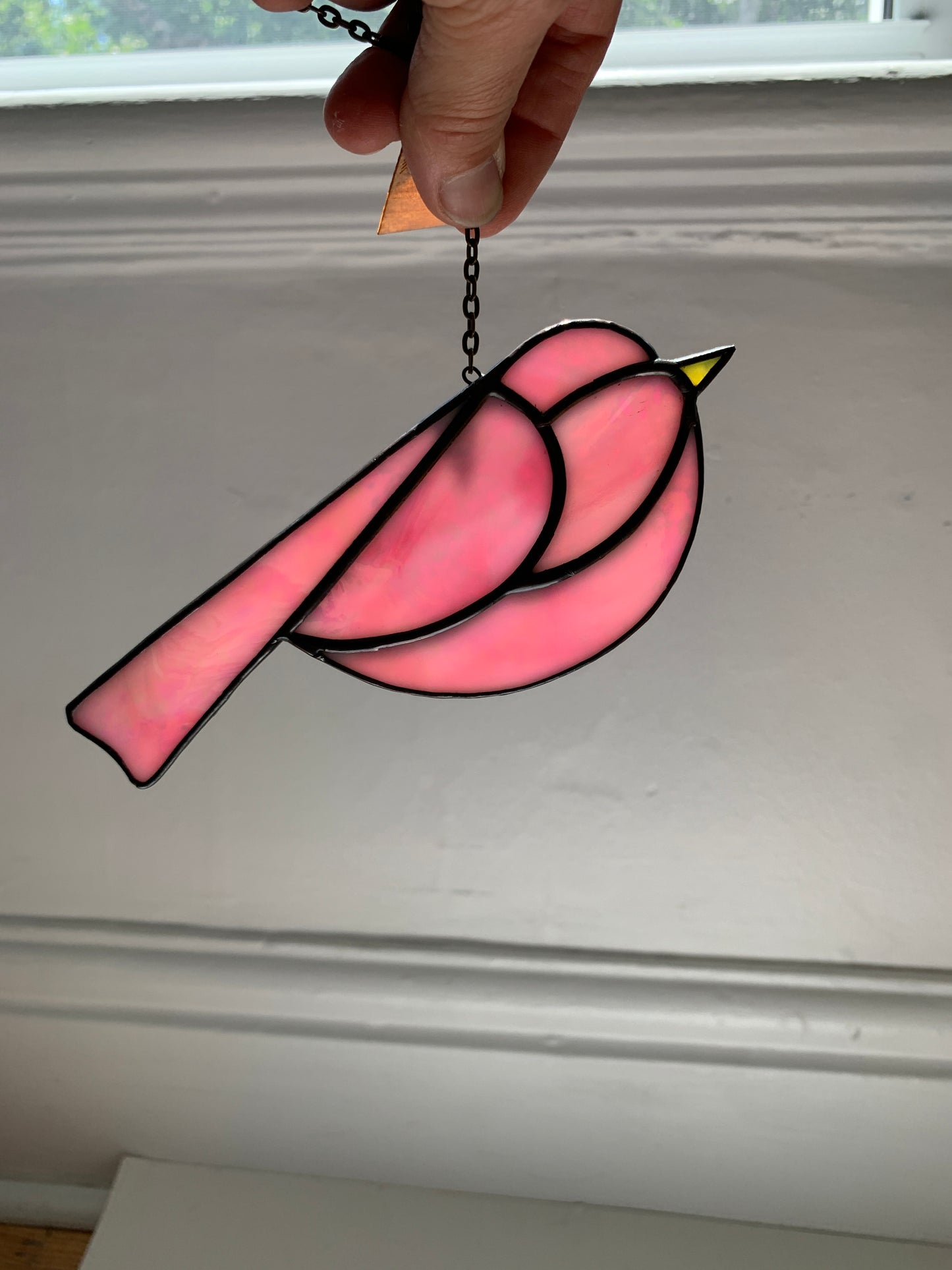 Colorful Bird Friend • Iridescent  Pink