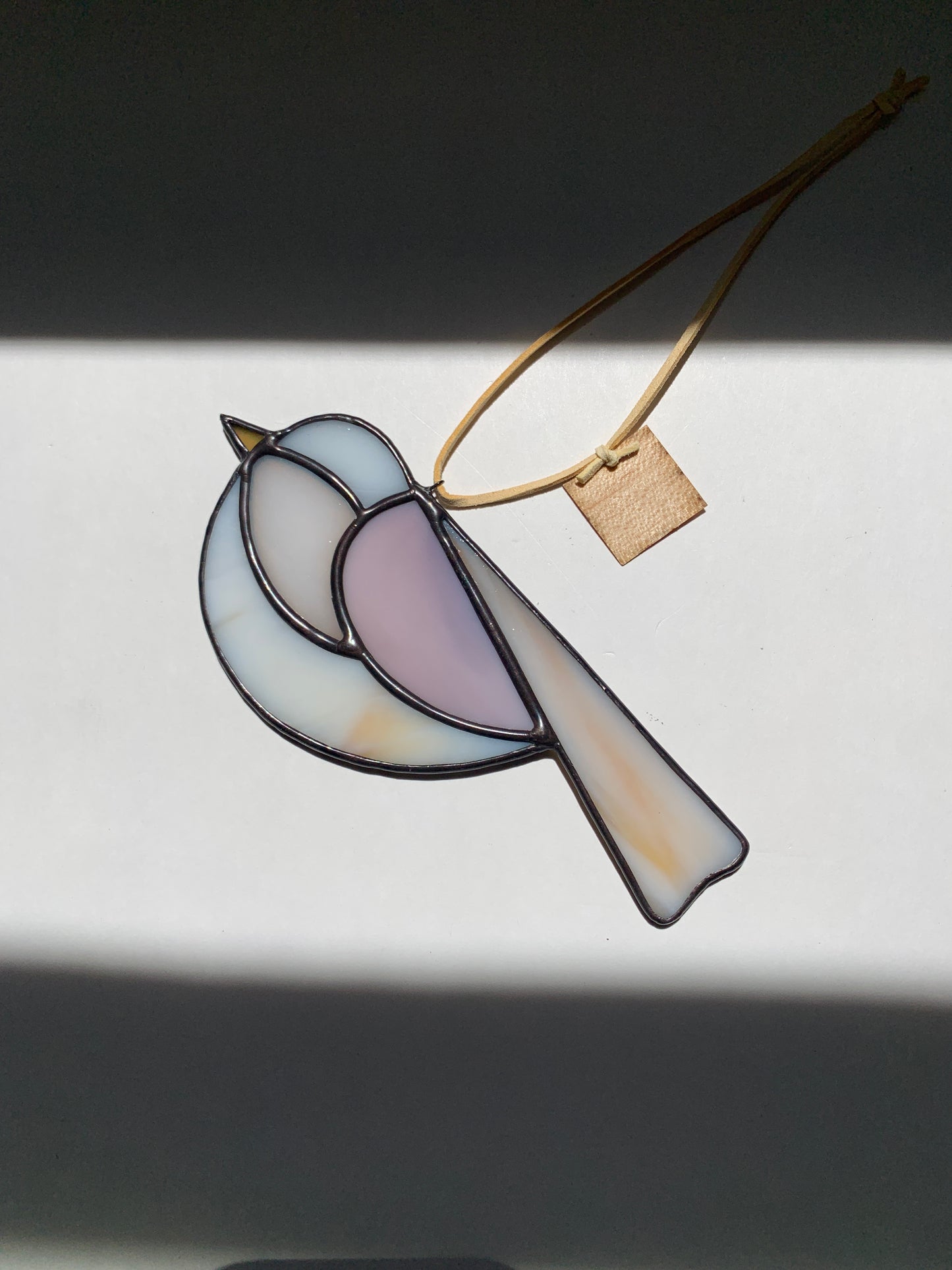 Colorful Bird Friend XVII • Iridescent