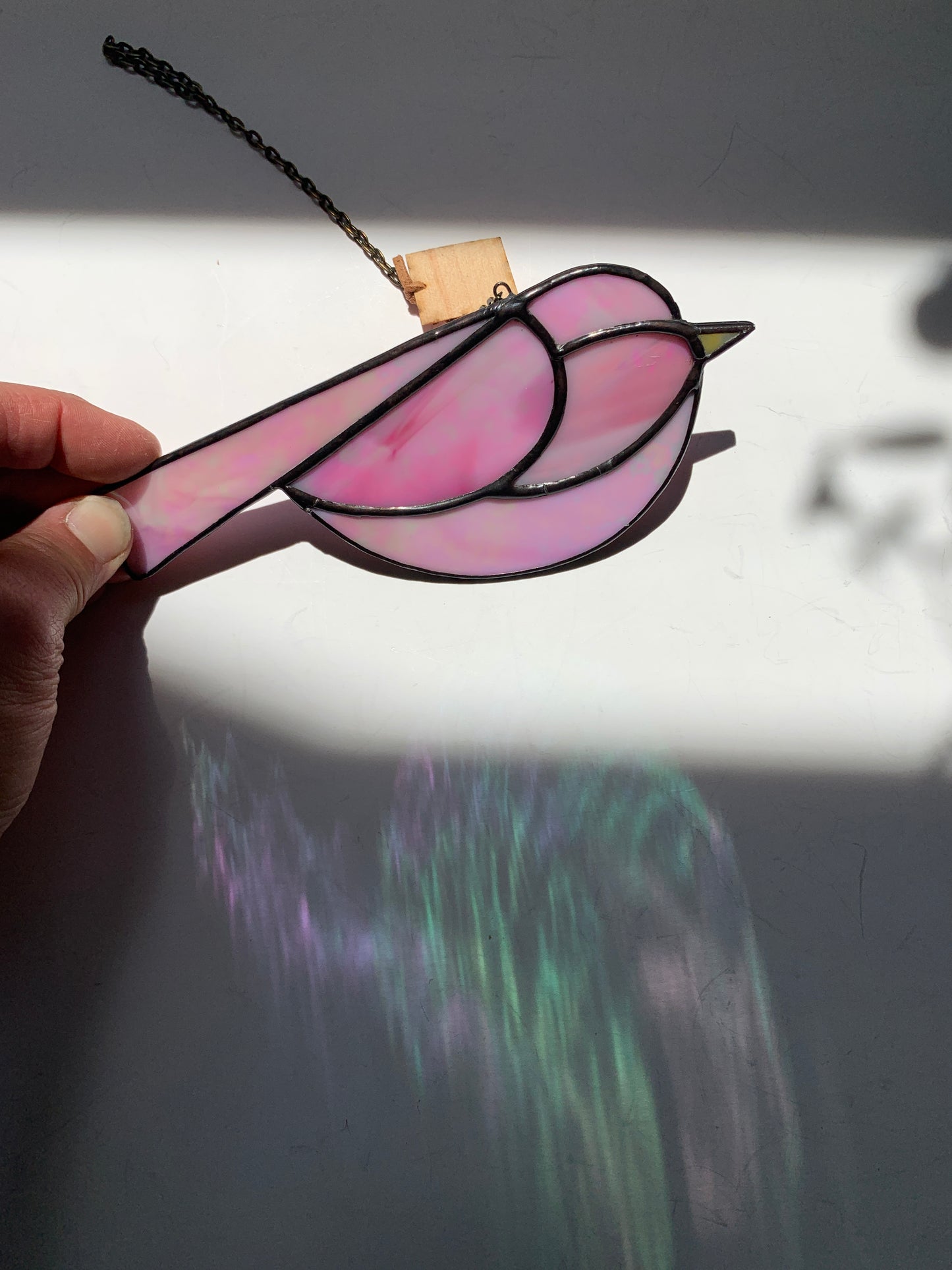 Colorful Bird Friend • Iridescent  Pink