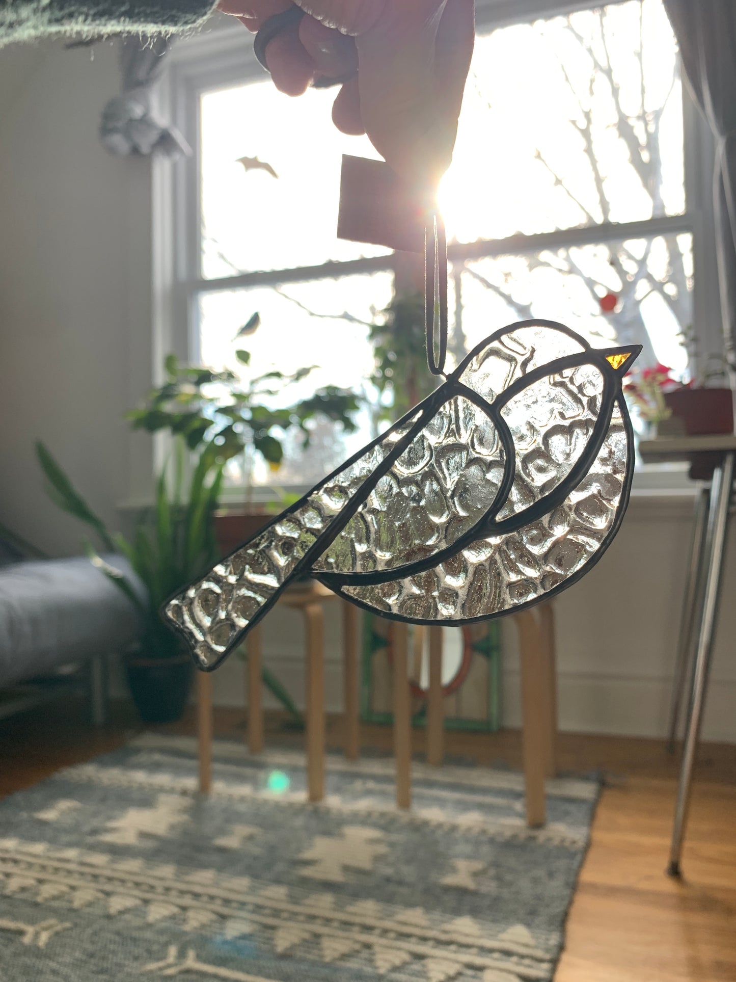 Colorful Bird Friend • Clear Textured