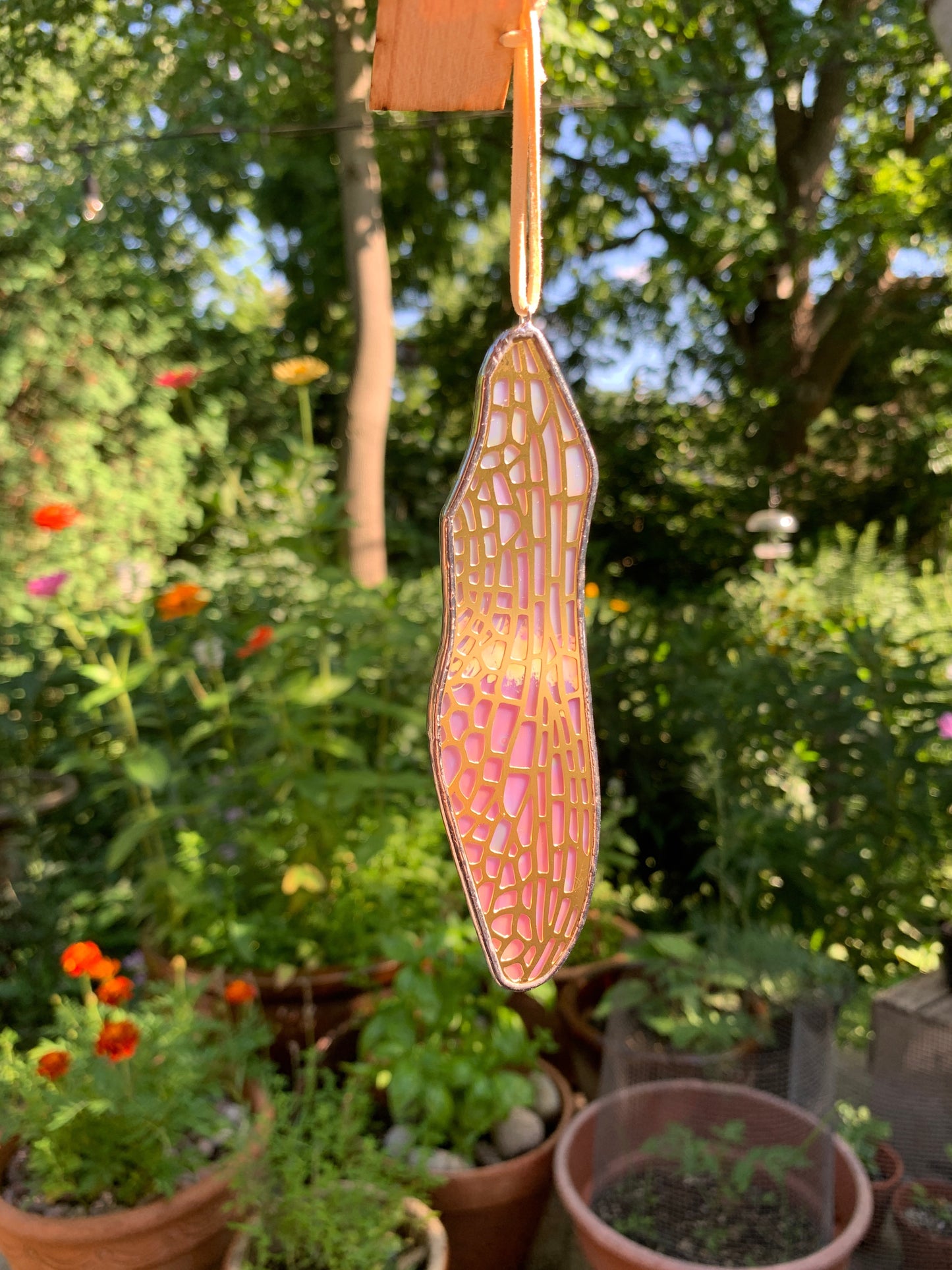 Dragonfly Forewing • Iridescent Wispy Pink