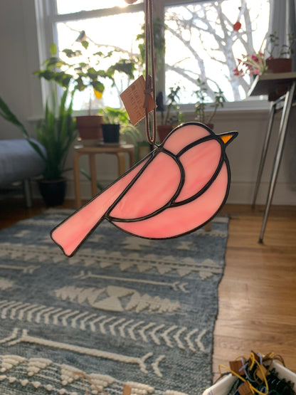 Colorful Bird Friend • Pink