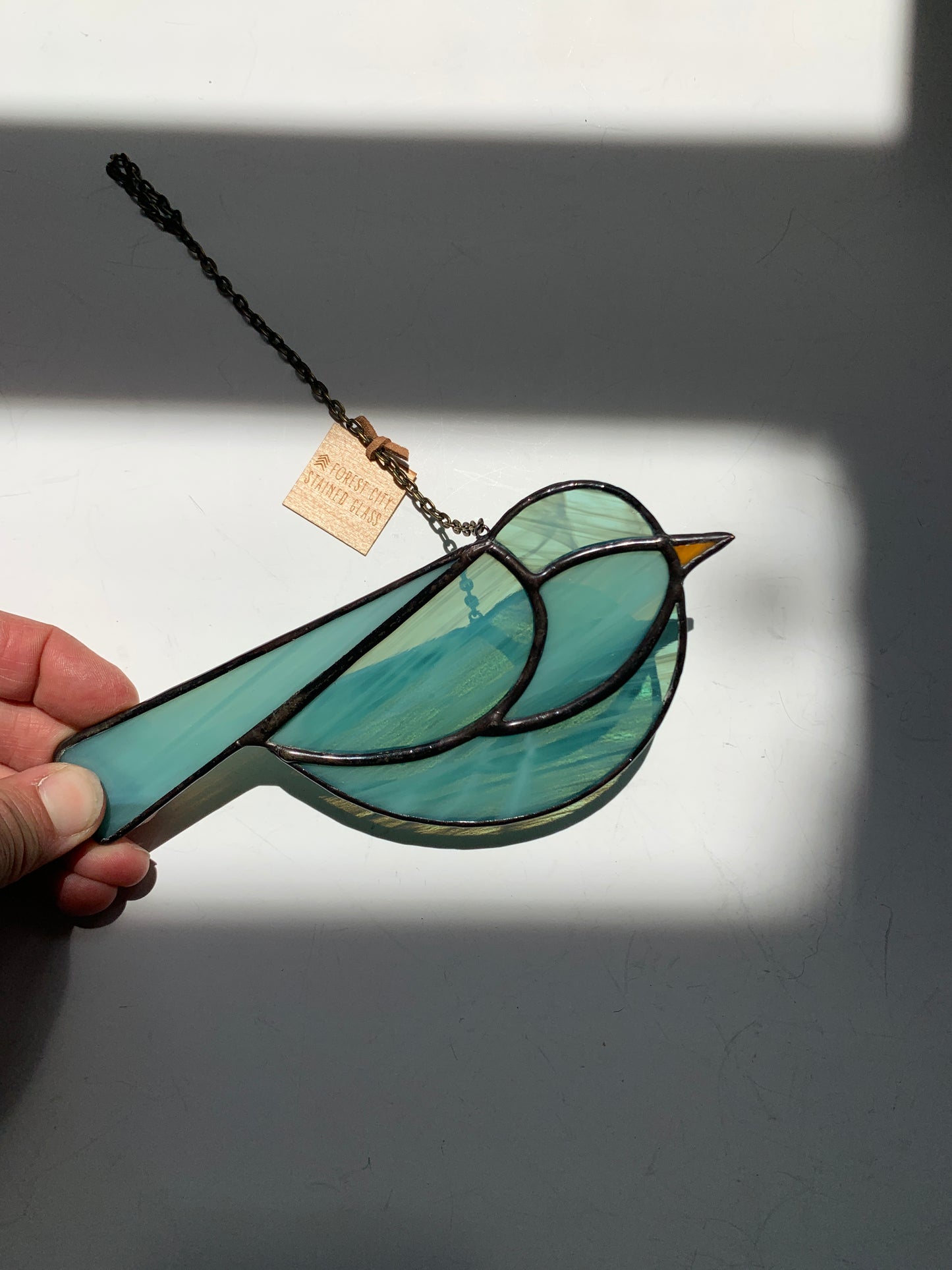 Colorful Bird Friend • Wispy Teal