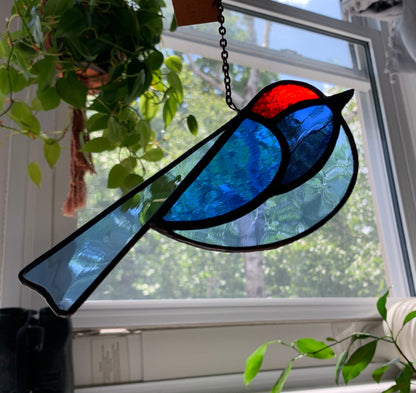 Colorful Bird Friend • Blue + Red