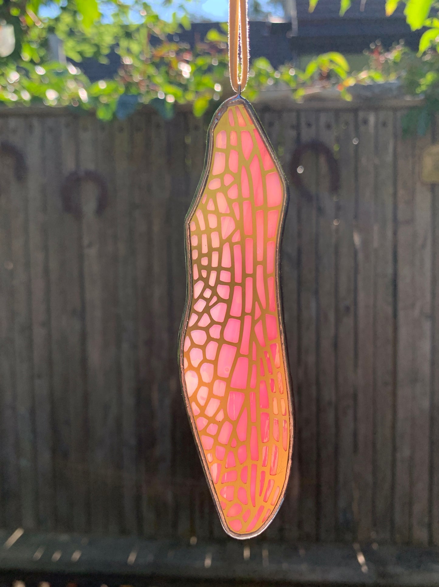 Dragonfly Forewing • Iridescent Wispy Pink