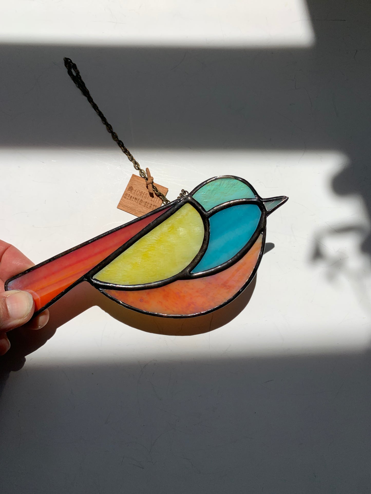 Colorful Bird Friend • Iridescent Rainbow