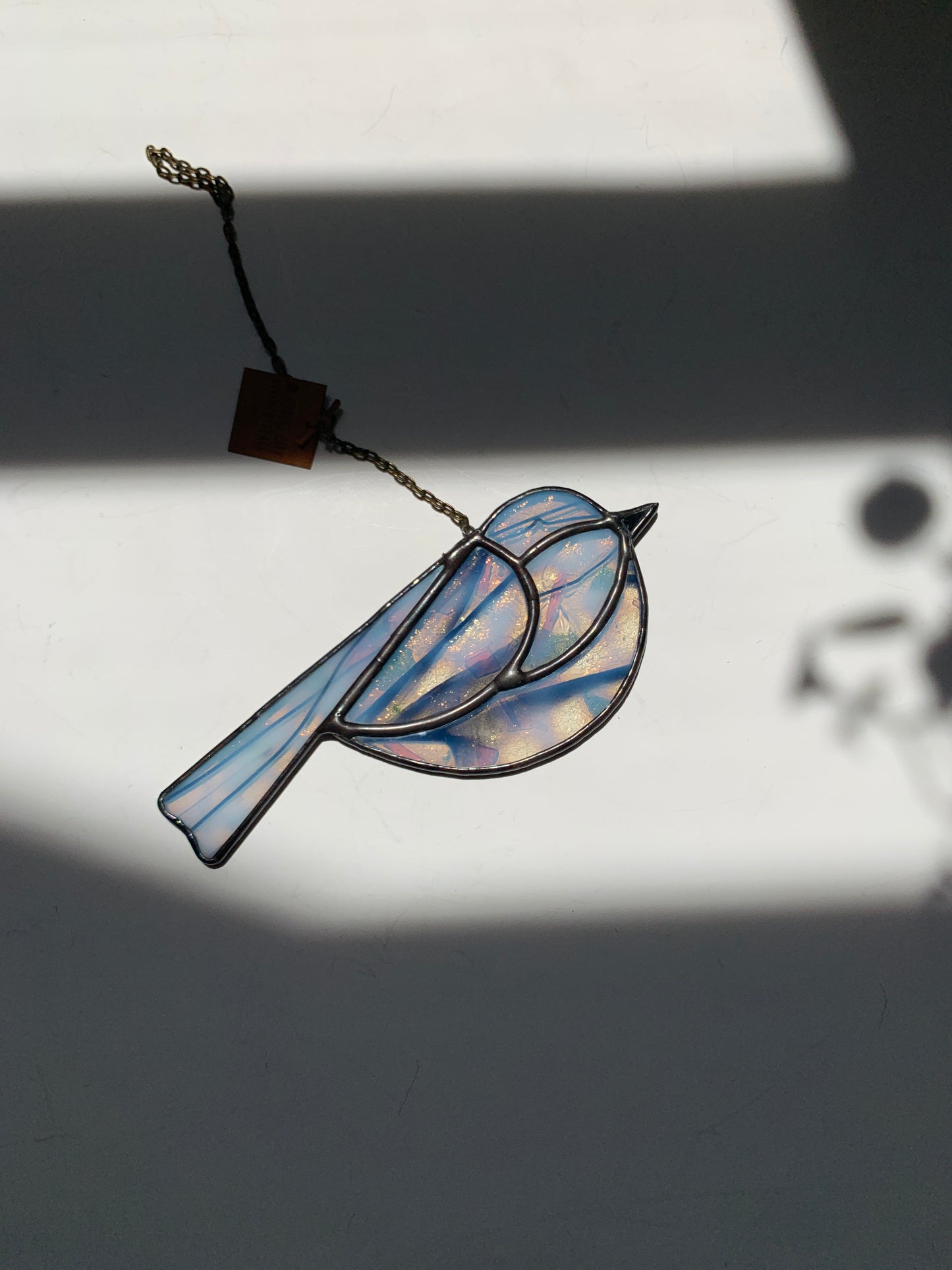 Colorful Bird Friend • Confetti II