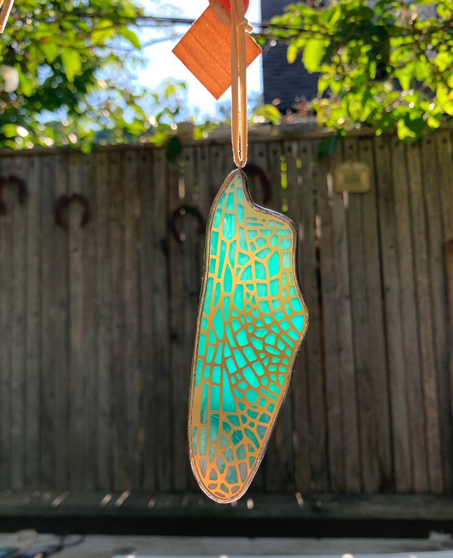 Dragonfly Hindwing • Iridescent Wispy Teal