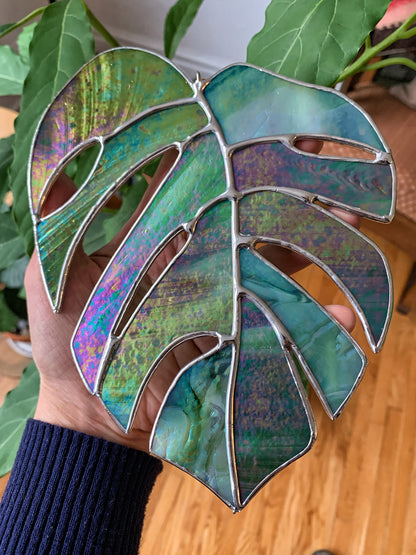 Monstera Leaf  • Iridescent Green