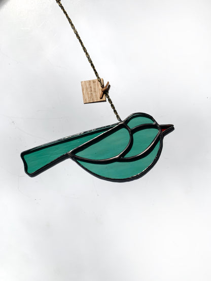 Colorful Bird Friend • Soft Teal