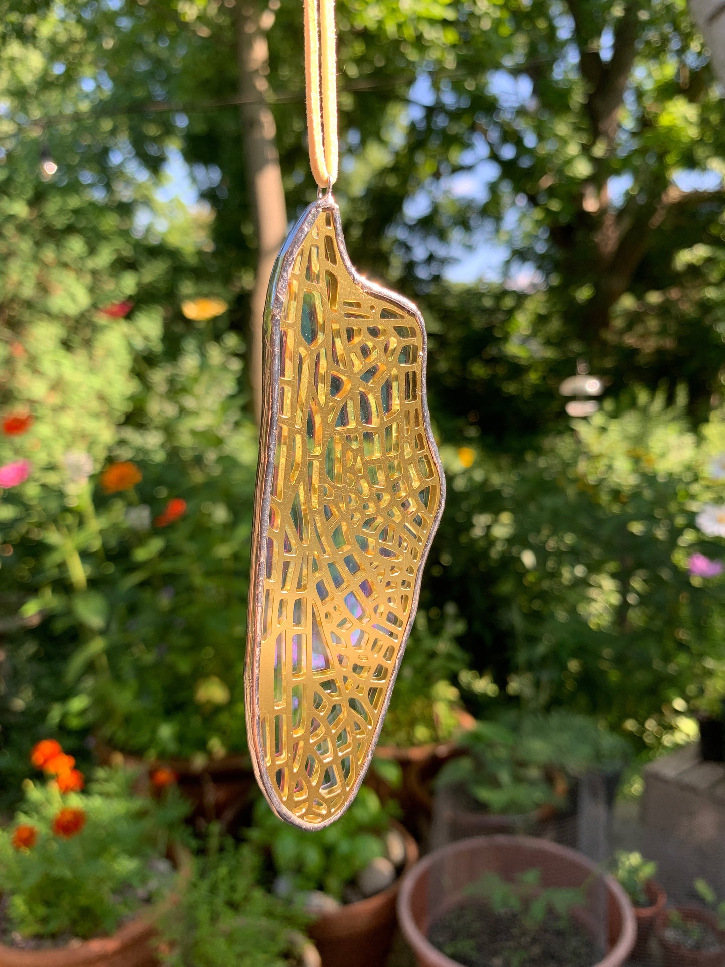 Dragonfly Hindwing • Iridescent Etched Clear