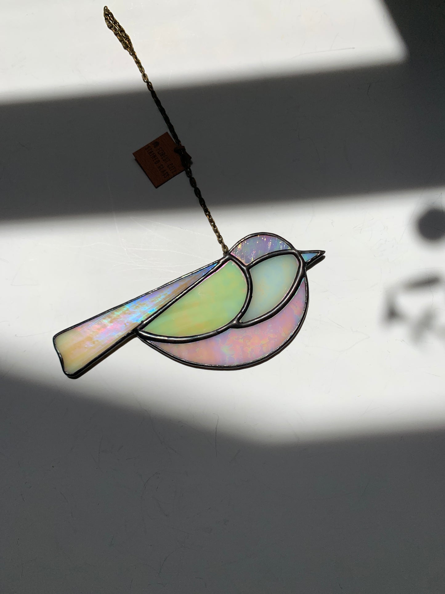 Colorful Bird Friend • Iridescent Neutrals IV