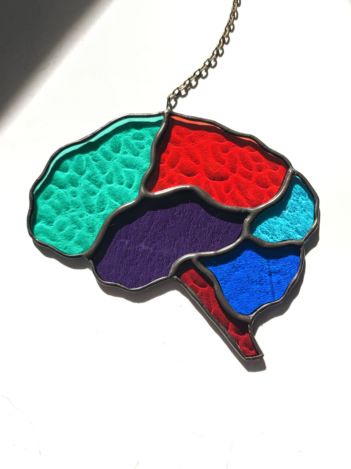 Human Brain (better than AI) ••