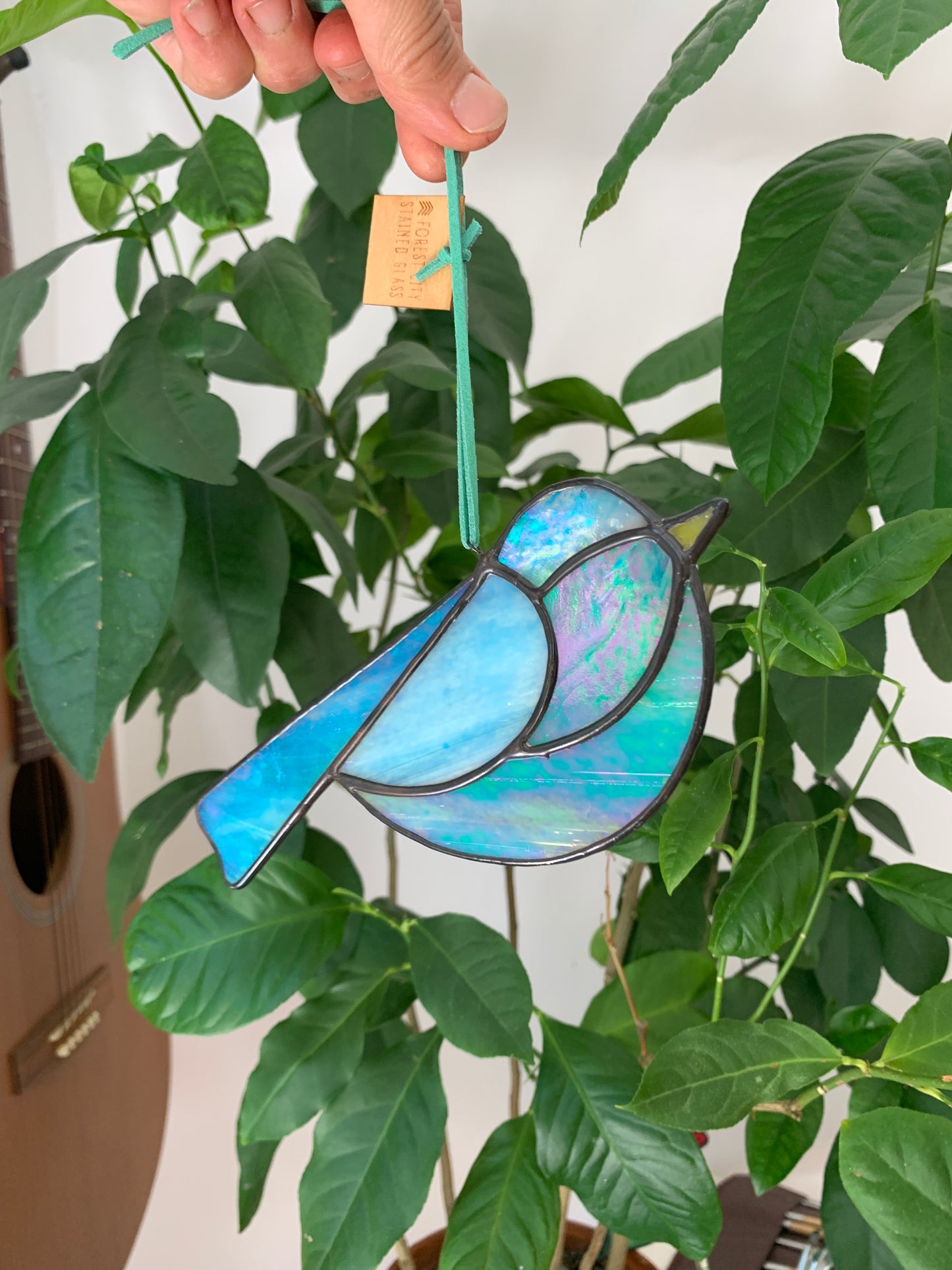 Colorful Bird Friend • Iridescent Blues