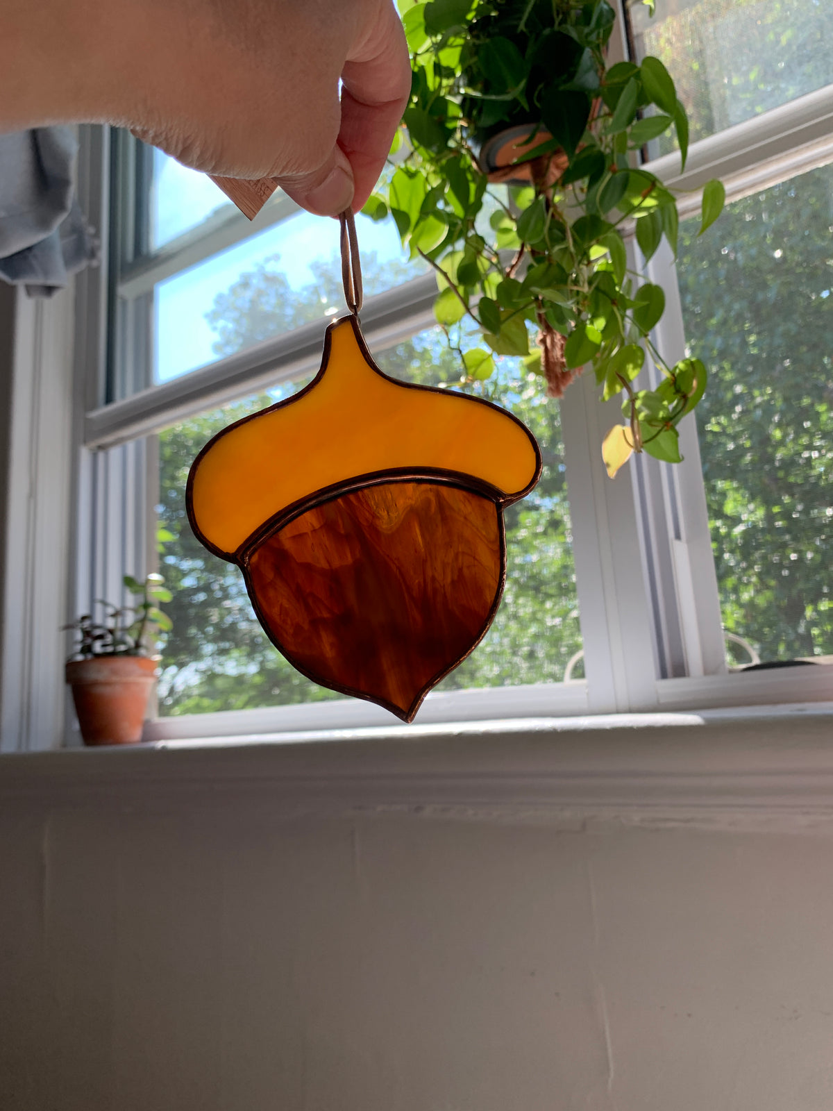 Acorn II