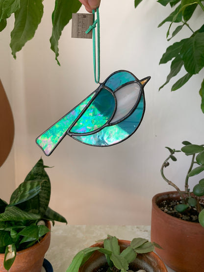 Colorful Bird Friend XVIII • Iridescent