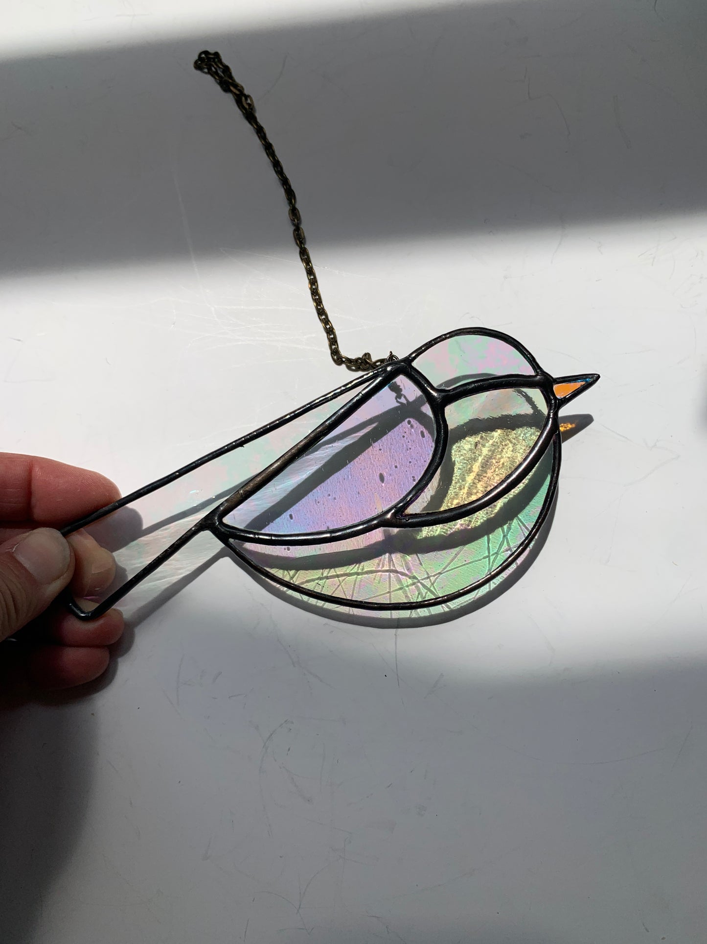 Colorful Bird Friend • Iridescent Clear