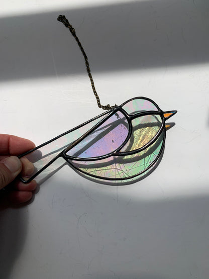Colorful Bird Friend • Iridescent Clear