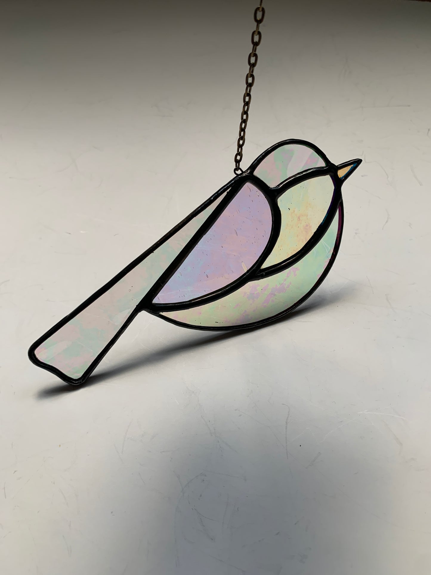 Colorful Bird Friend • Iridescent Clear