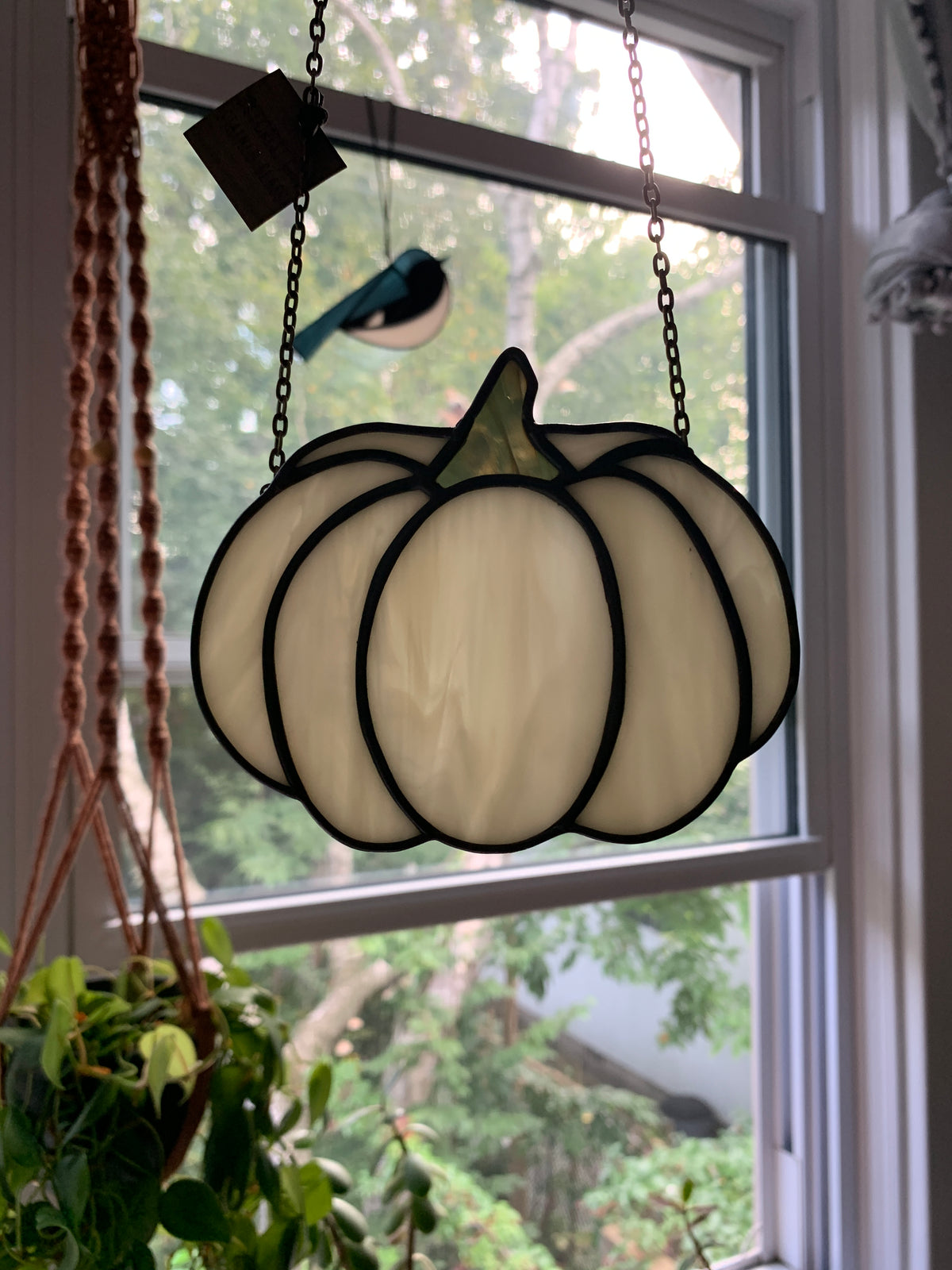 Pumpkin • Wispy Beige