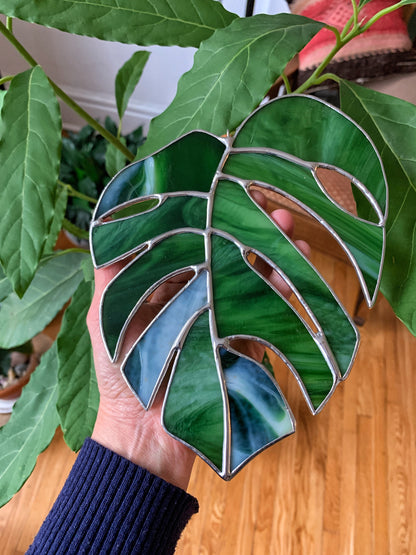 Monstera Leaf  • Iridescent Green