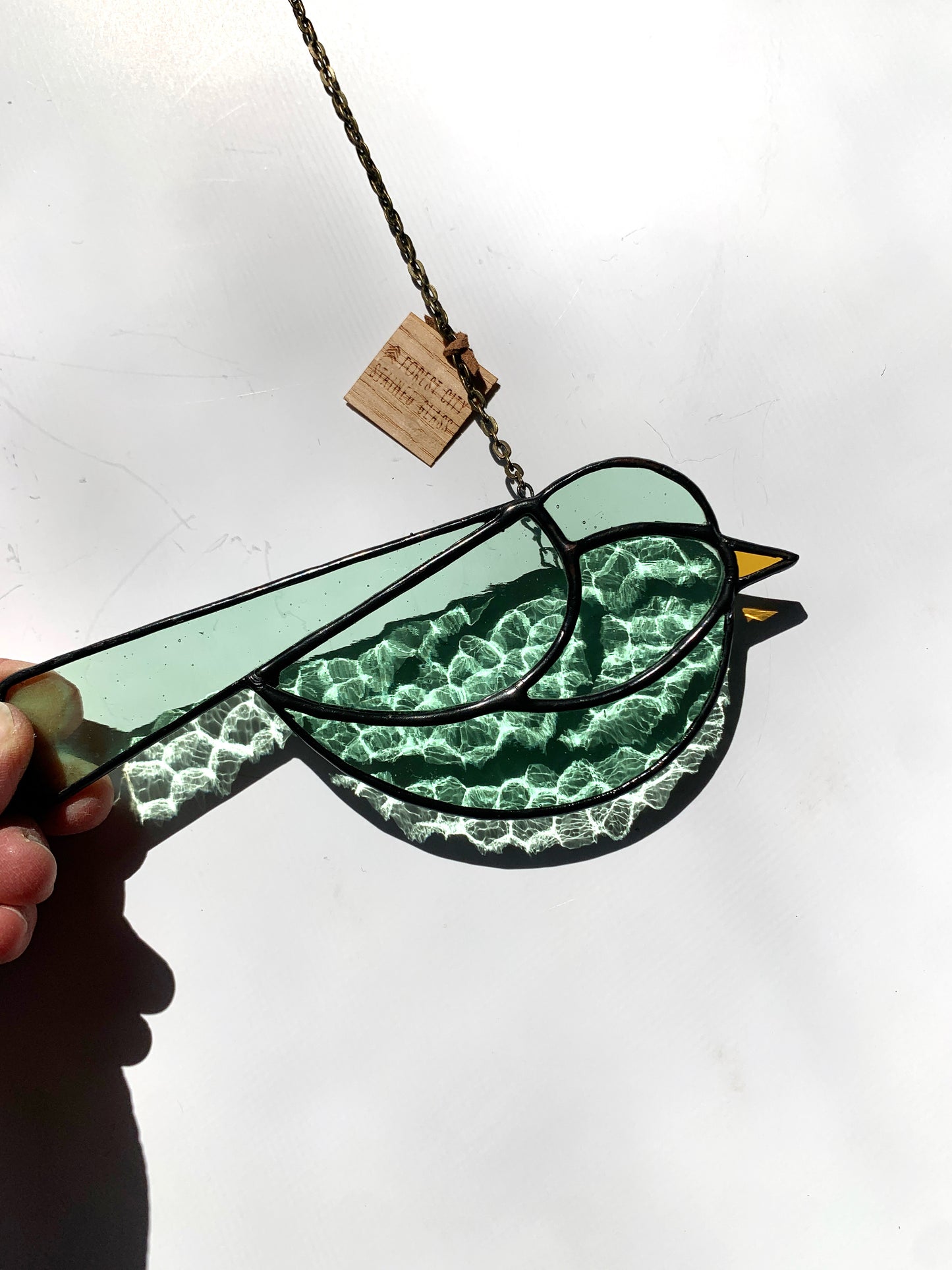 Colorful Bird Friend • Sea Foam